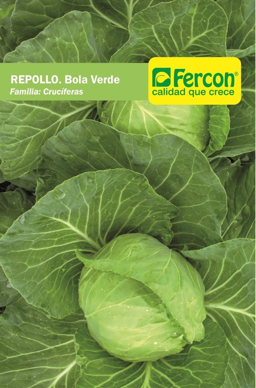 SEMILLA DE REPOLLO BOLA VERDE SOBRE ESTANDAR 1