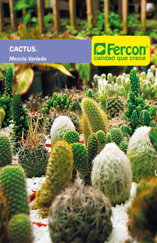 SEMILLA DE CACTUS VARIADOS 1