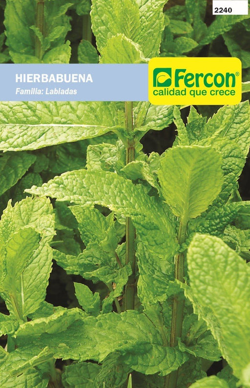 SEMILLA DE HIERBABUENA 1