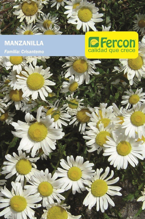 SEMILLA DE MANZANILLA 1